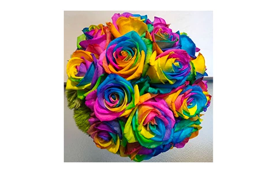 balduina-dimension-flowers