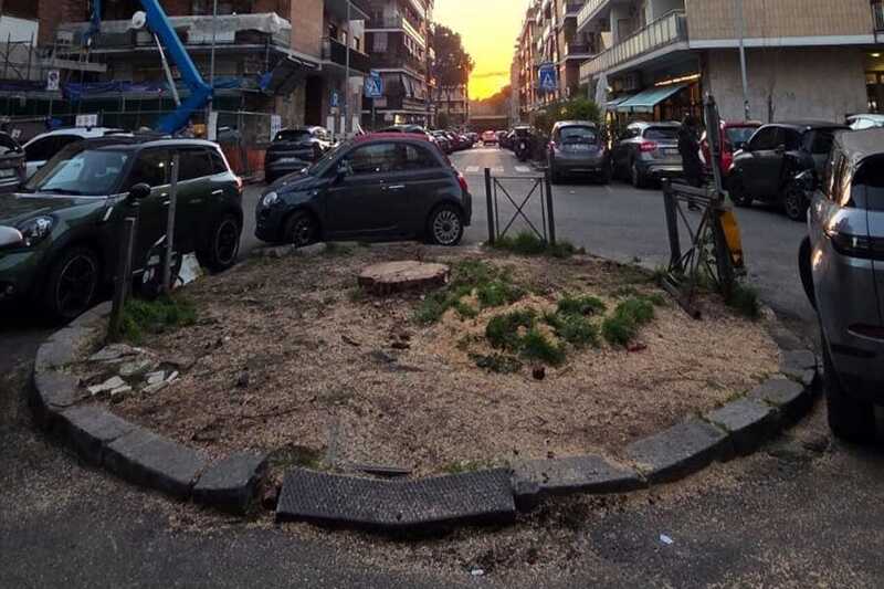 Balduina saluta il maestoso pino di piazza Friggeri: “Simbolo del quartiere abbattuto” (RomaToday)
