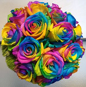 Dimension Flowers